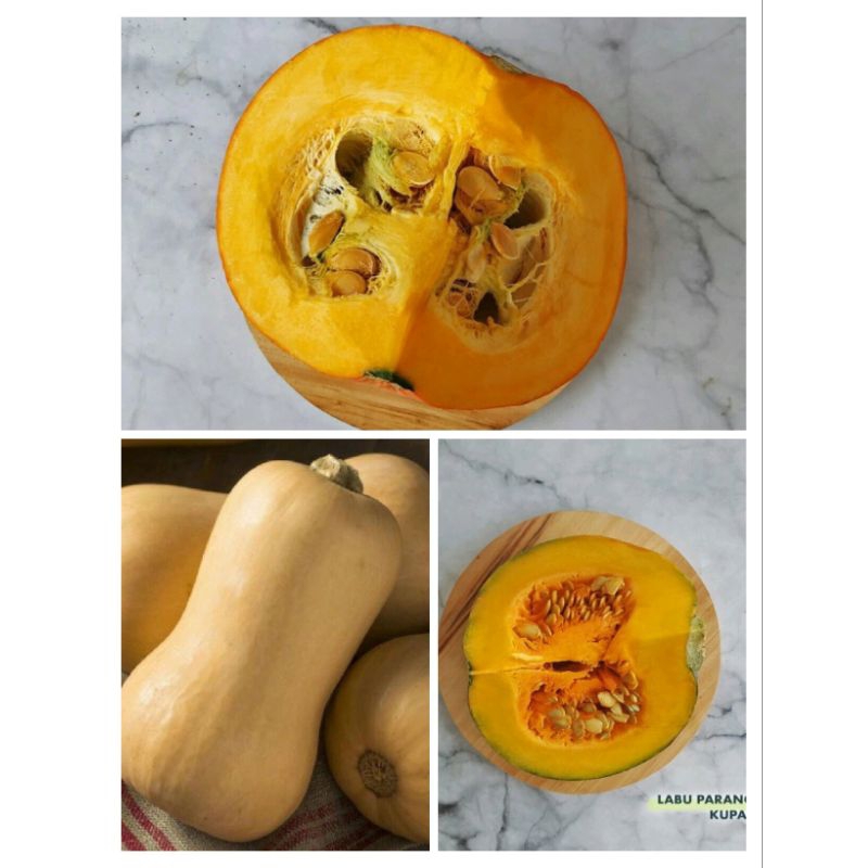 

Labu Parang | Labu Kabocha MPASI | Labu Butternut Pumpkin 500 gram