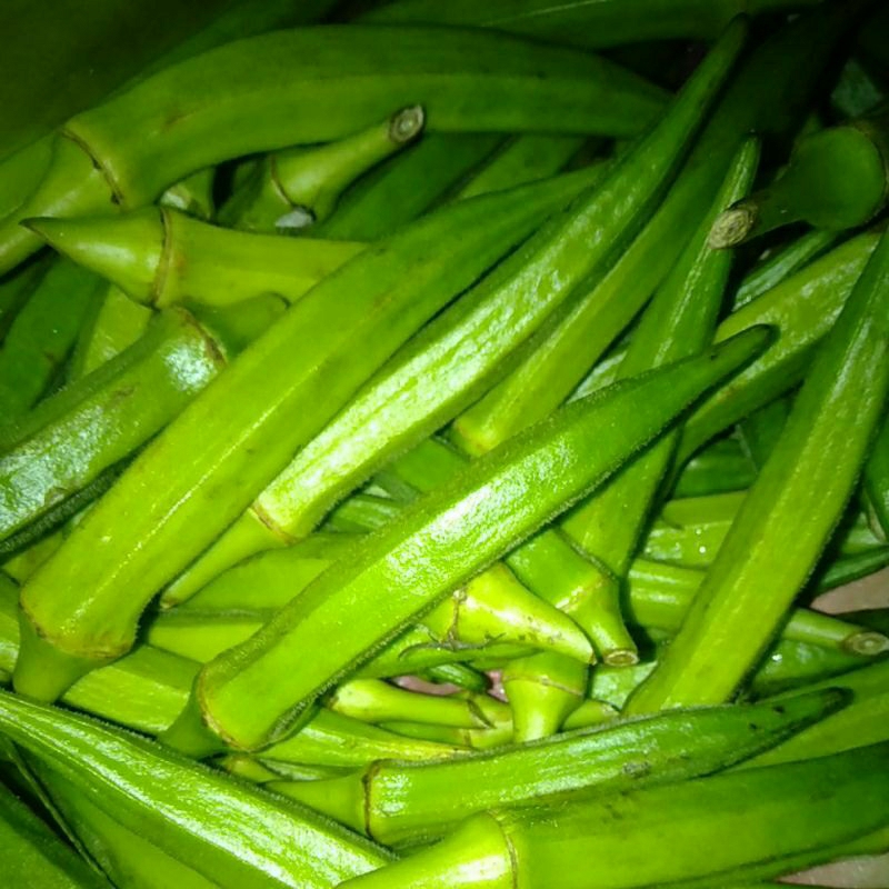 

Sayur OKRA OKRO / LADI FINGER
