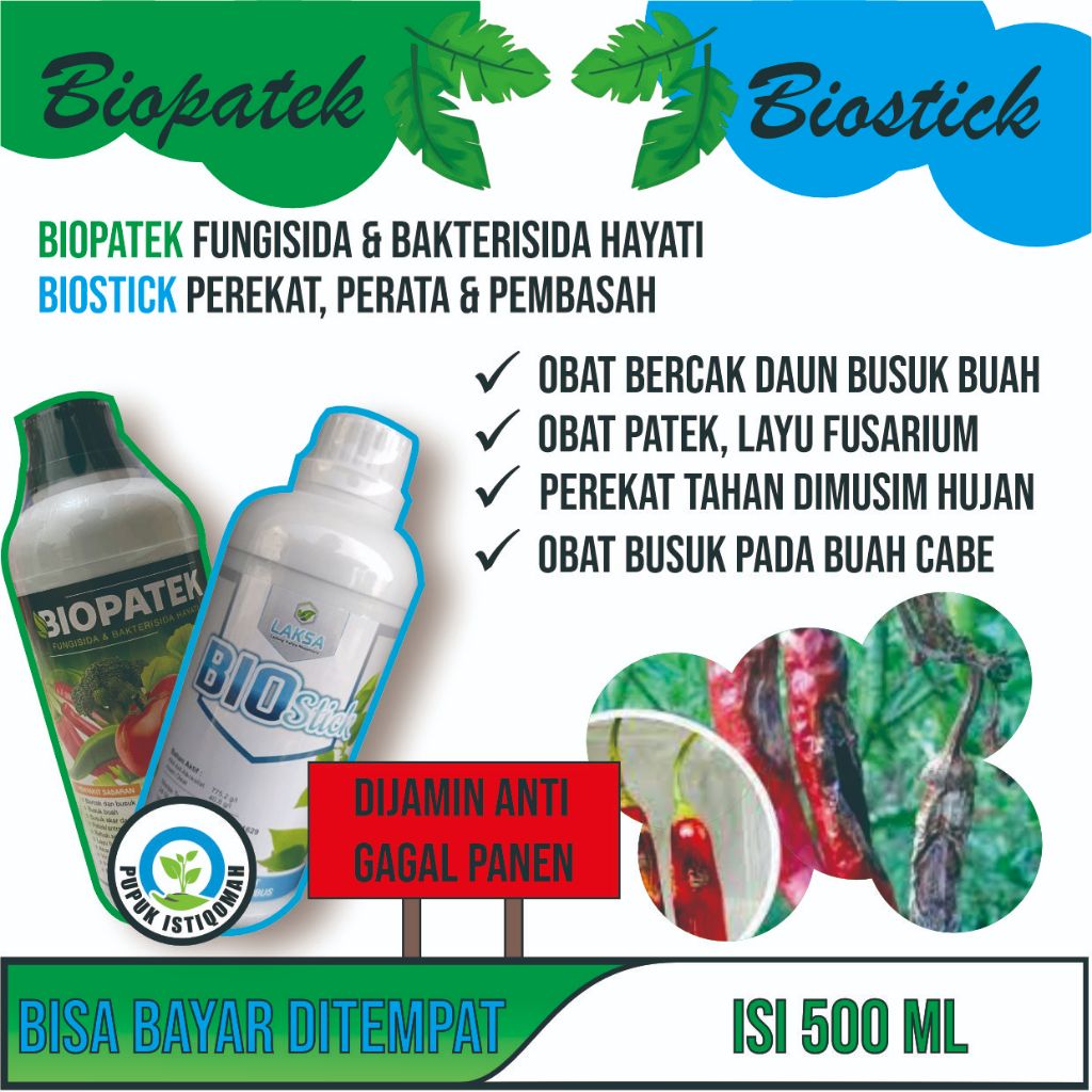 Paket Hemat Obat Kriting Cabe Ampuh 1 Biopatek 1 Biostick Fungisida Obat Kriting dan Busuk Buah cabe