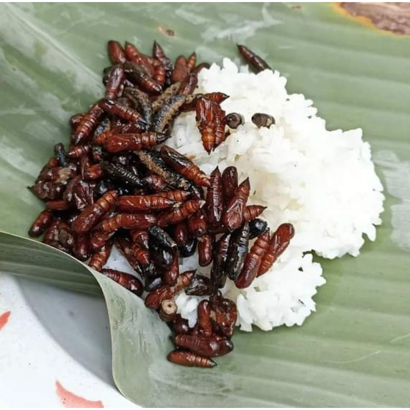 

Enthung jati 50gram