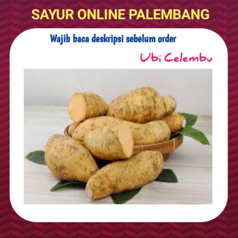 

Ubi Celembu Ubi Cilembu Madu Mentah 1Kg - Sayur Segar Buah Online Palembang