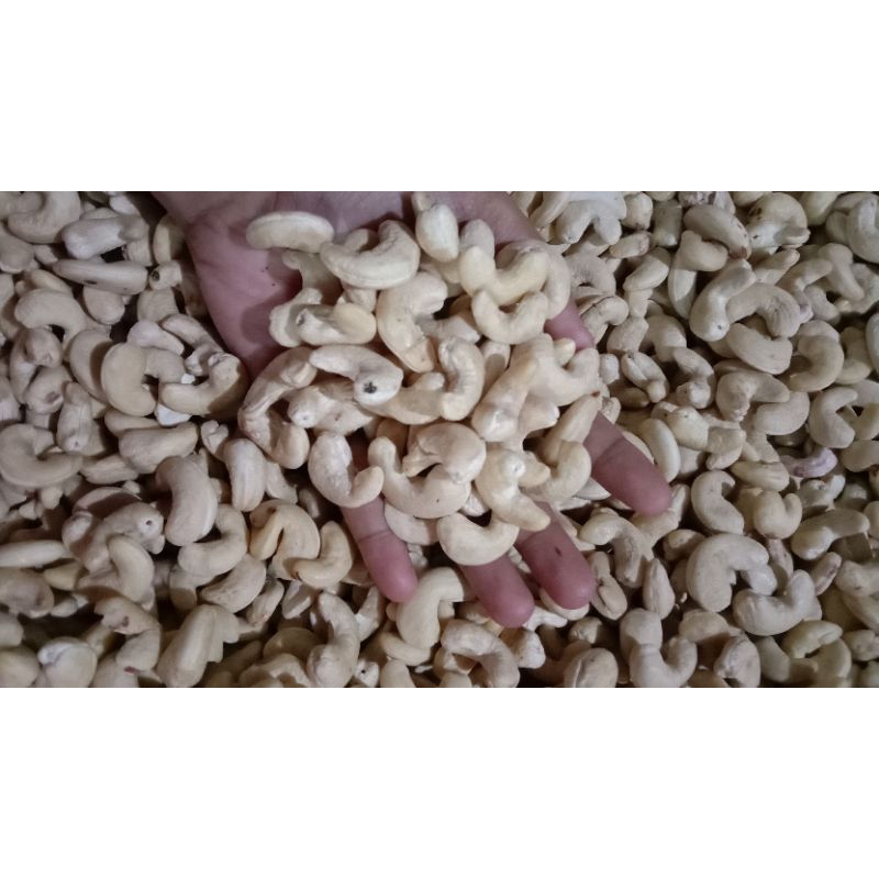 

Kacang Mete ||Kacang Mede|| Jambu Mete|| Asli Sulawesi Tenggara