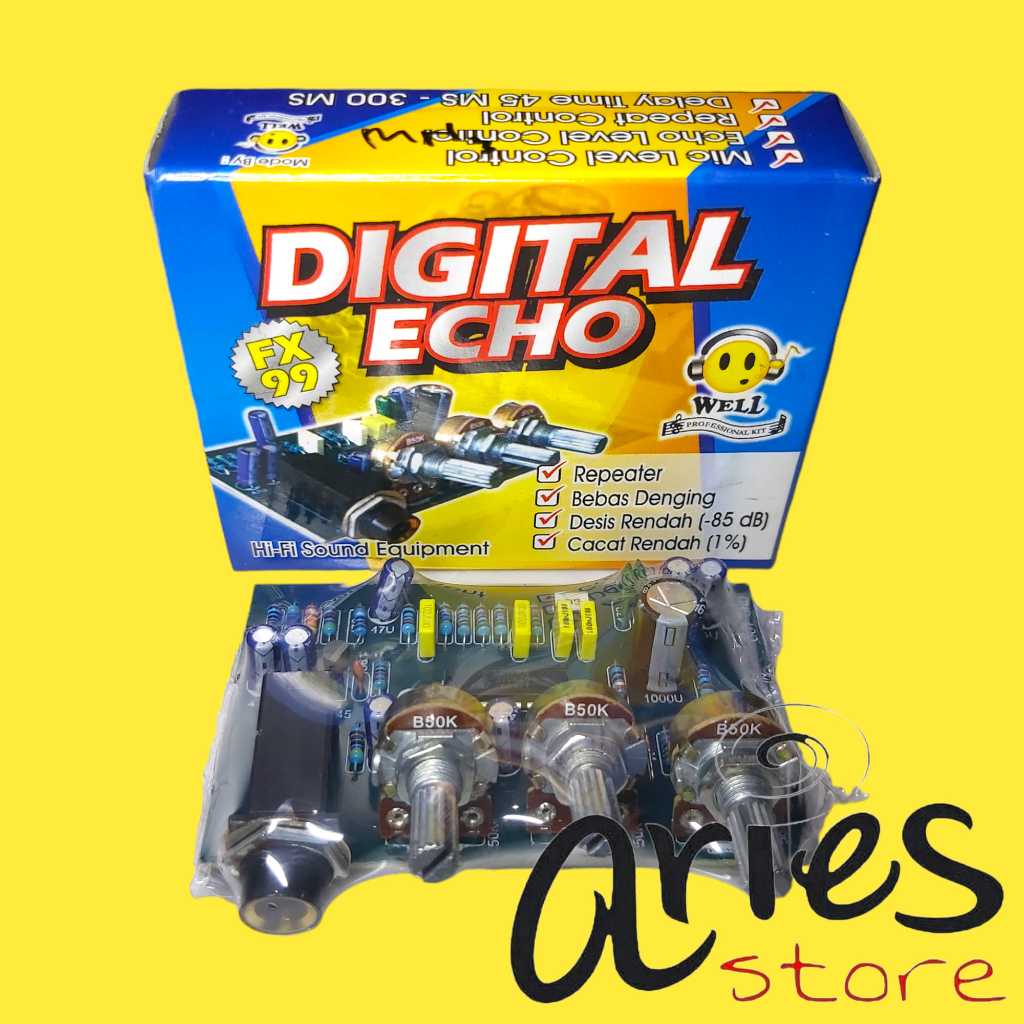 KIT ECHO DIGITAL 1 MIC WELL