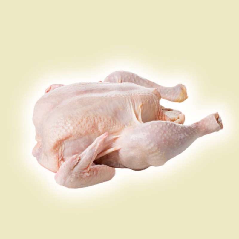 

(KIRIM CEPAT) Ayam Potong per ekor / Boiler