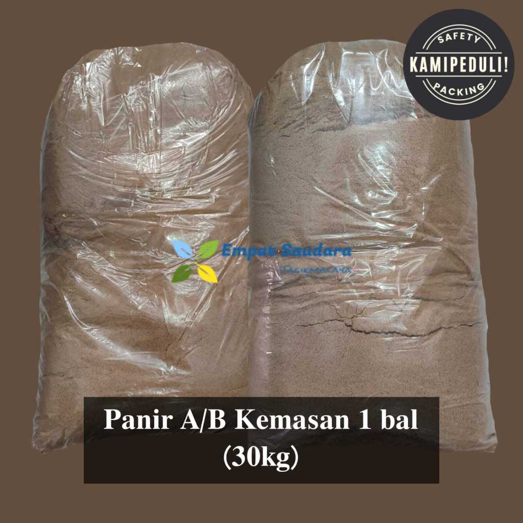 

Panir Bawang Kemasan Bal (30 KG)