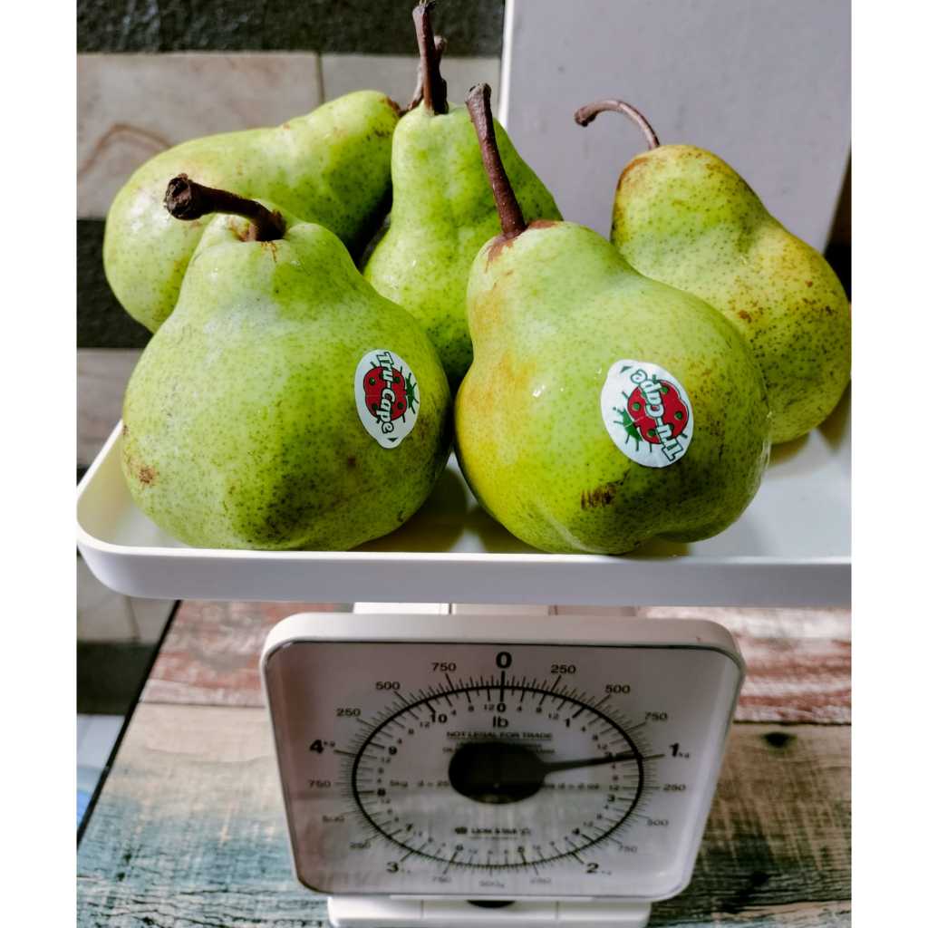 

Pear Packham / Pir Hijau 1 kg