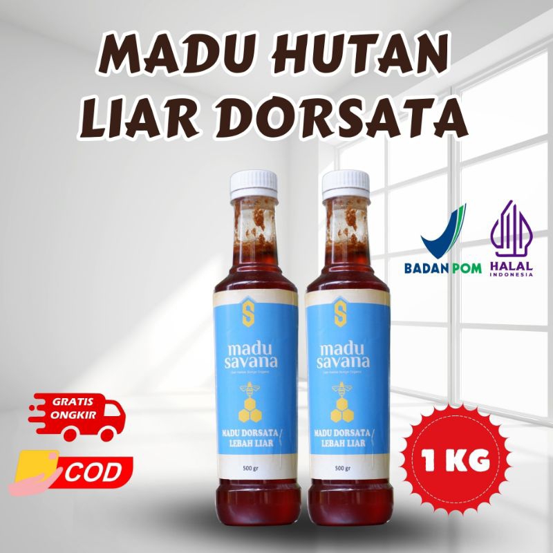 

Madu Hutan Liar Dorsata 500 gram - Pure Honey