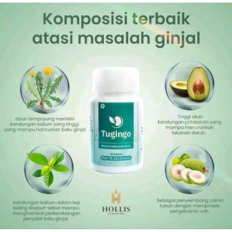 Tugingo Asli Original