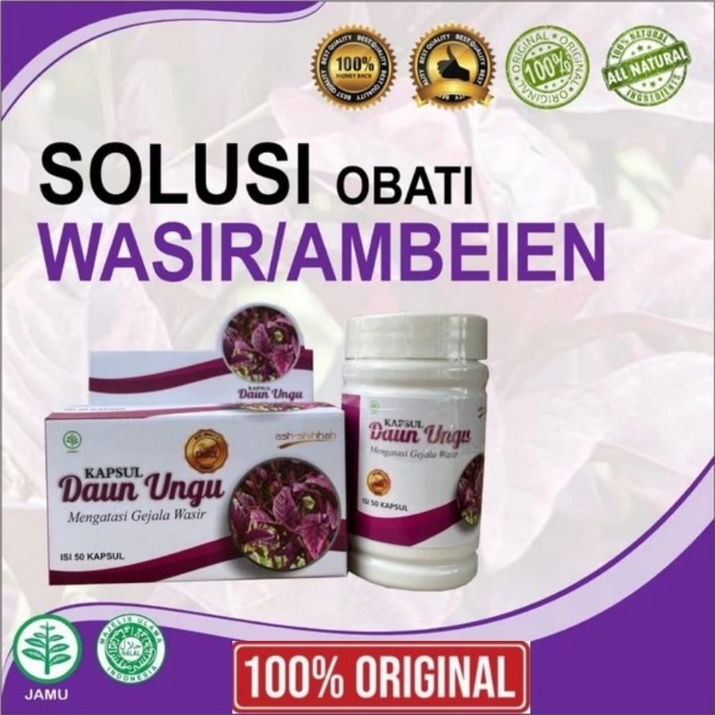 Obat Wasir Paling Ampuh