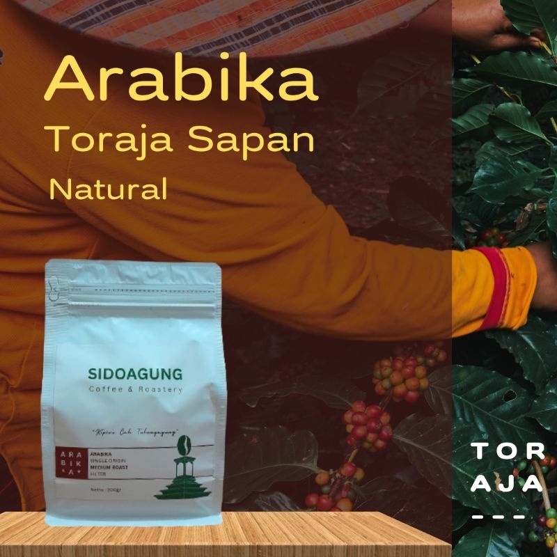 

Arabika Toraja Sapan