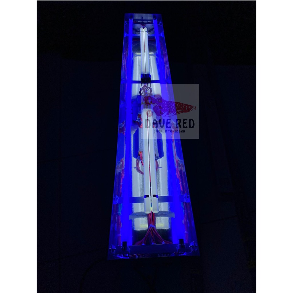 2 Aquazonic 2 PLL Putih Lampu Tanning Arwana Pengganti Cahaya Matahari Dave Red
