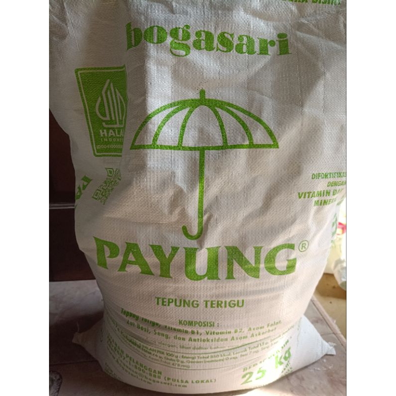 

TEPUNG TERIGU PAYUNG 1KG (REPACK)