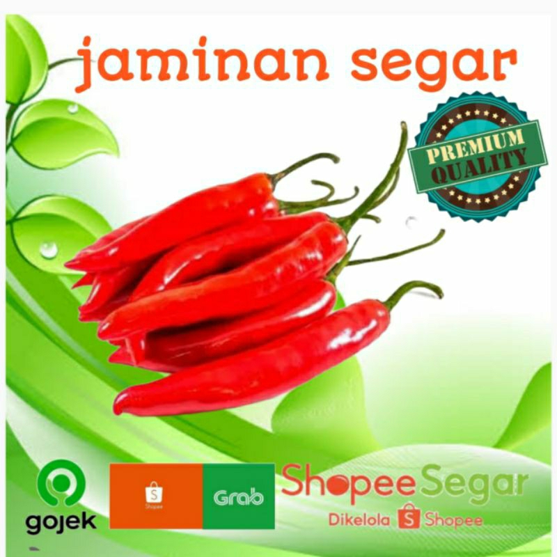 

cabe merah besar 100gr