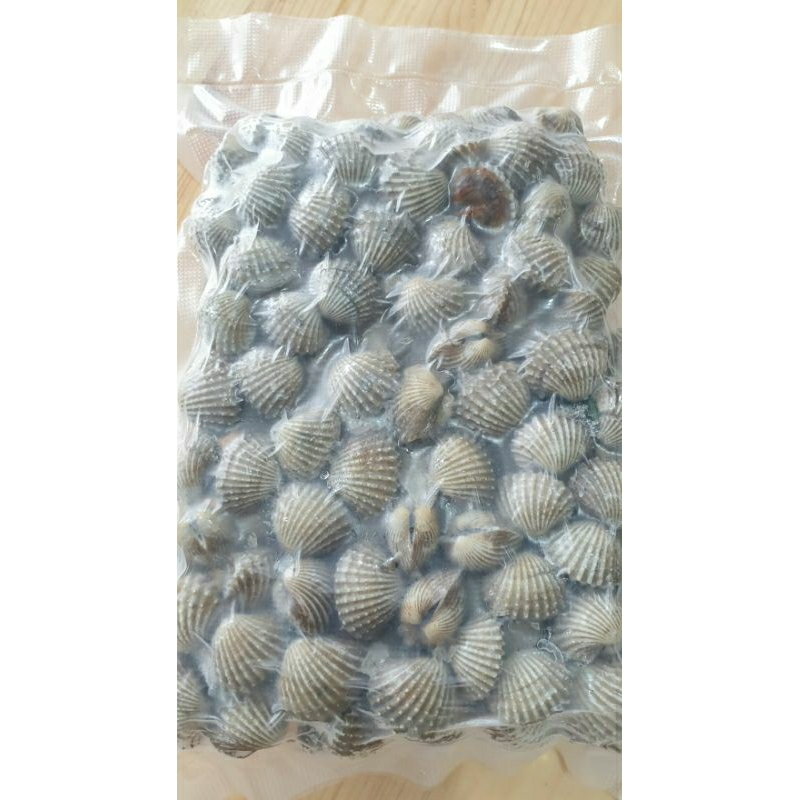 

Kerang Dara Beku (+/- 700gr)