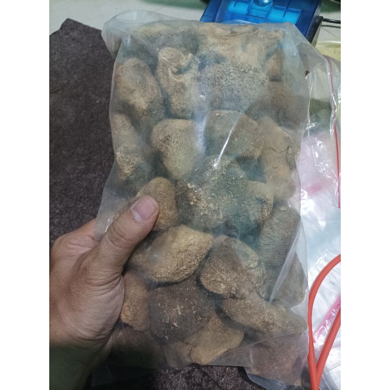 

250 G 500 GR GRAM 猴头菇 HOU TOU GU JAMUR MONYET DRIED MONKEY MUSHROOM