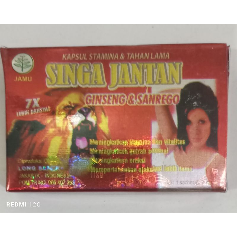 Singa_Jantan