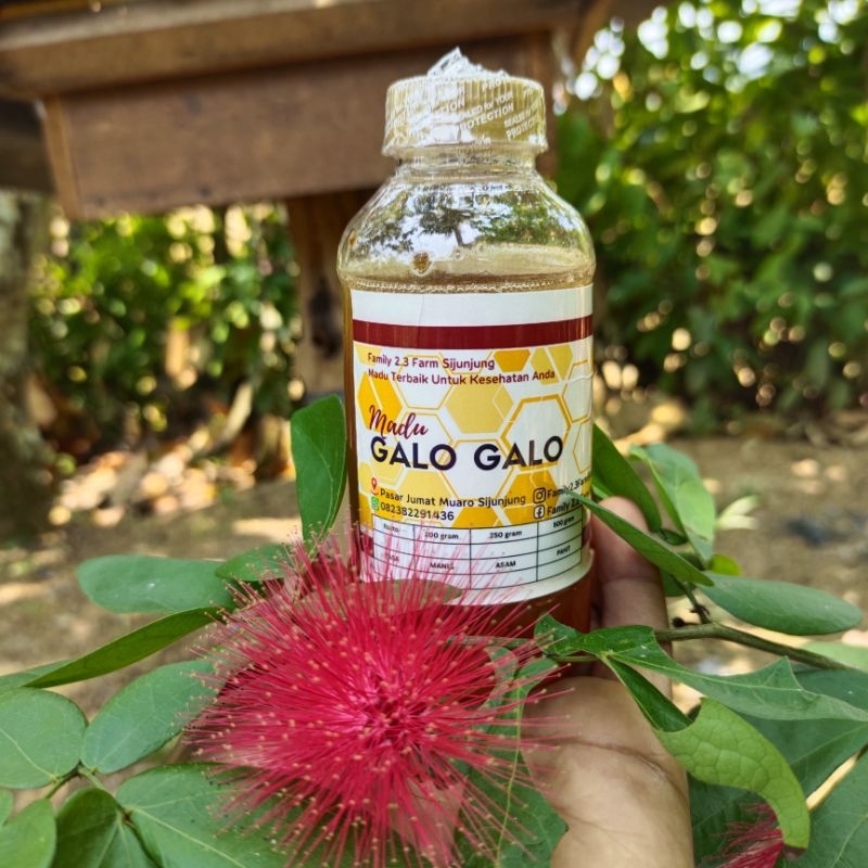 

MaduKelulut/Galo-Galo