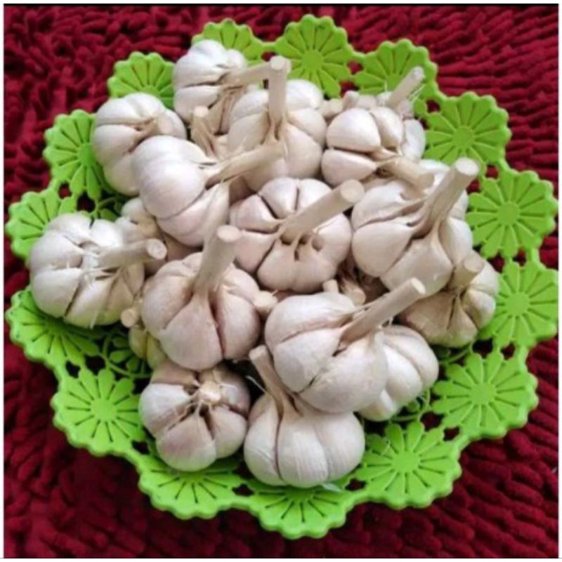 

Bawang putih kating 500gr