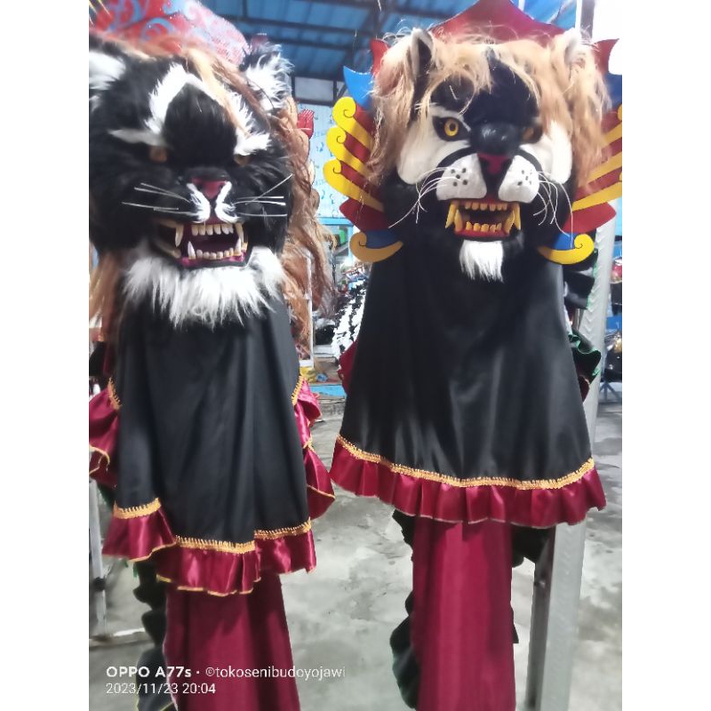 kucingan jalin banyuwangi jumbo buat pentas