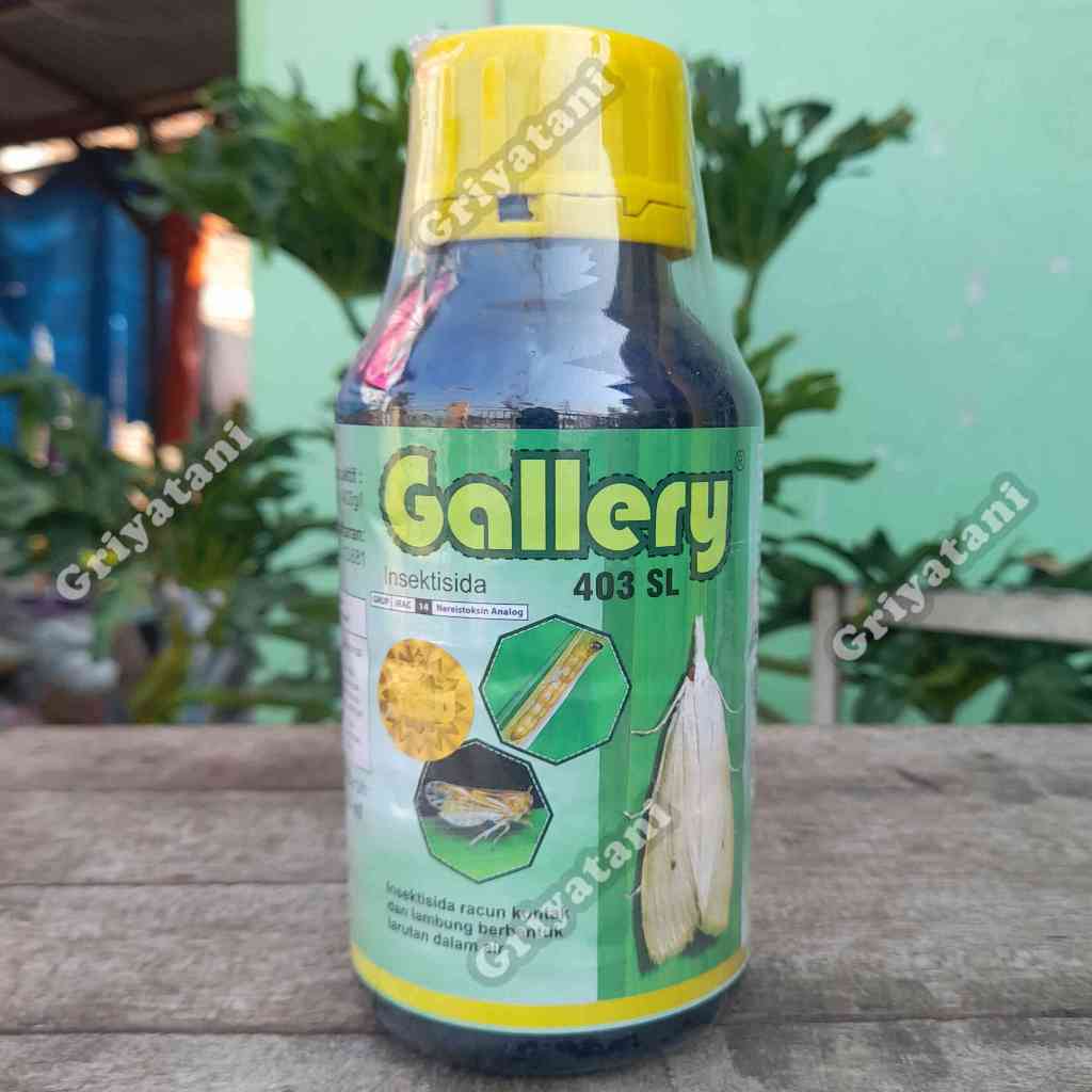 Insektisida Gallery 403 SL 500 ml