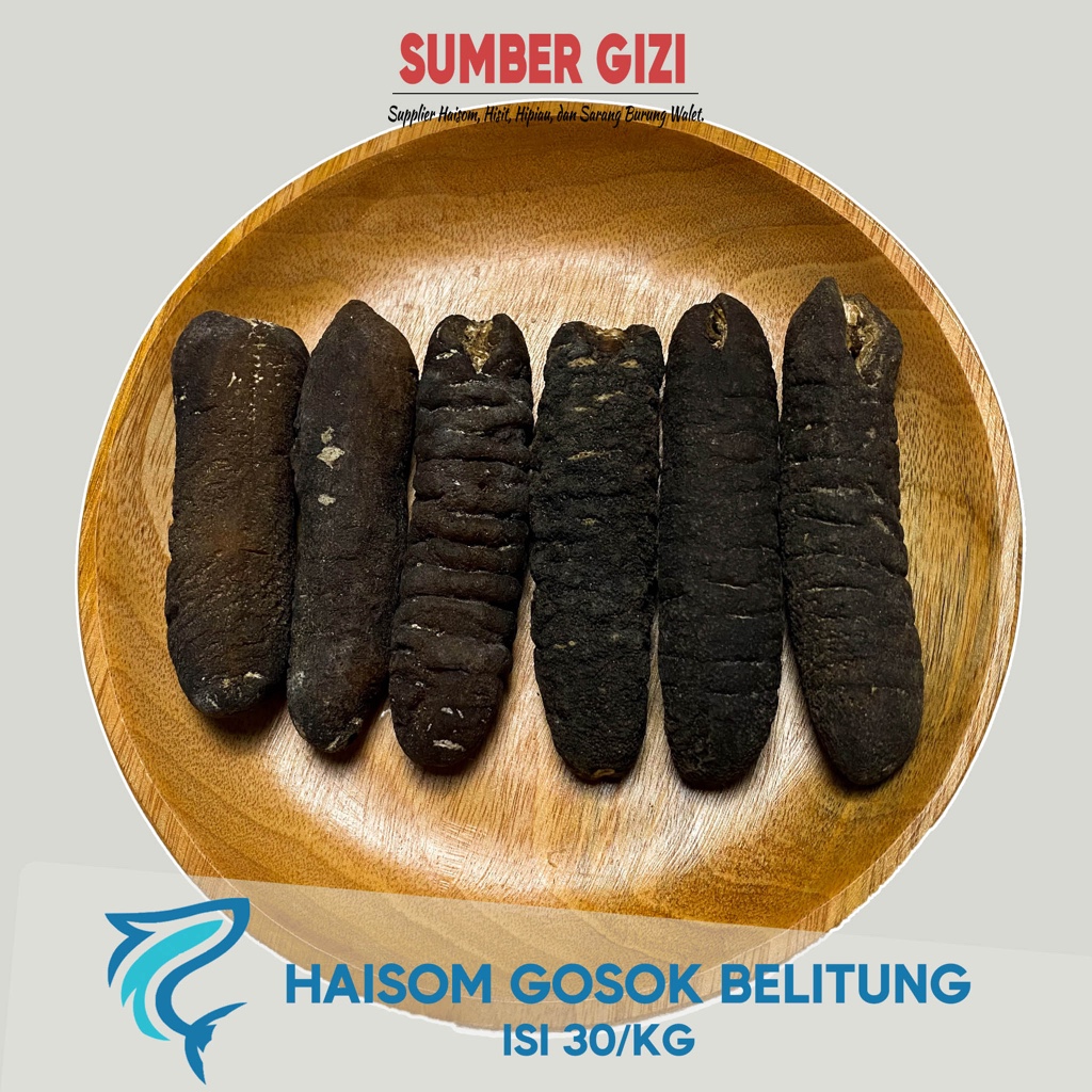 

Teripang Gosok Belitung Ukuran 30/ kg - (@1 kg)/ Haisom Gosok Bangka Belitung/ Hoisem/ Hoisom/ Tripang/ 海参