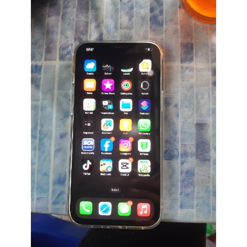 iphone 12 pro max 256gb  lengkap