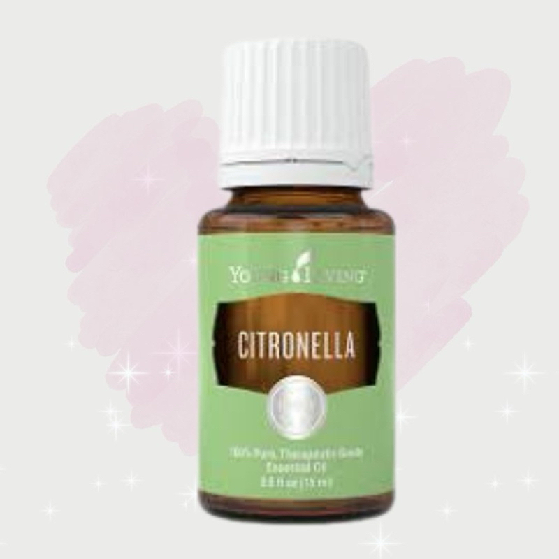 Citronella 15ml Essential Oil YL