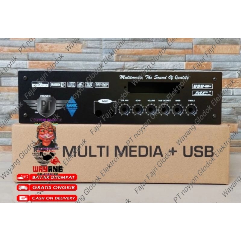 Box Power Amplifier RANIC MULTI MEDIA + USB Sound system