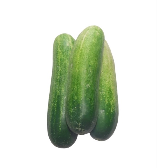 

Terlaris timun segar 1 kg Best Product