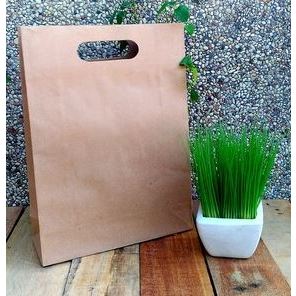 

Paperbag Coklat Polos (Model Plong) Ukuran : Lebar 25 x Tinggi 34 x Tebal 9 cm