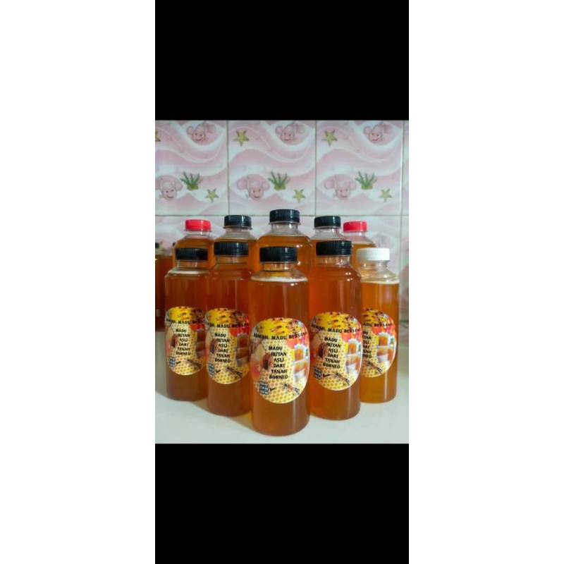 

Madu Asli Hutan Kalimantan