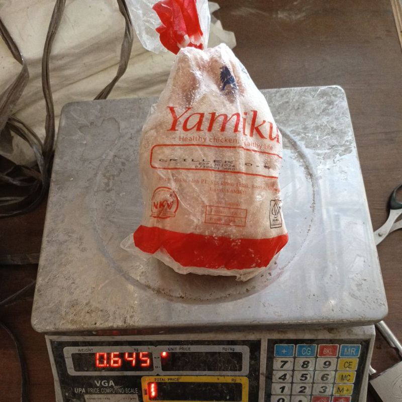 

Ayam Frozen Uk 600-700