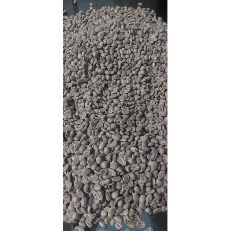 

Kopi Arabica Gayo