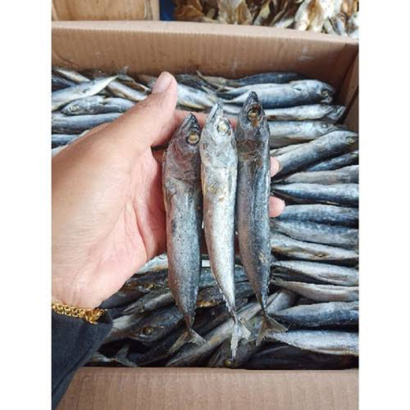 

Ikan asin rebus di jamin fresh 100 g