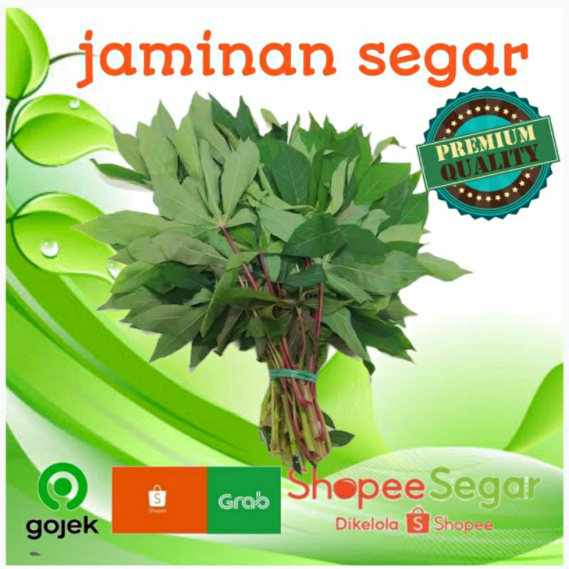 

daun singkong