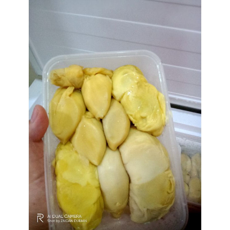 

Durian Kupas 500 gr Medan sibolga