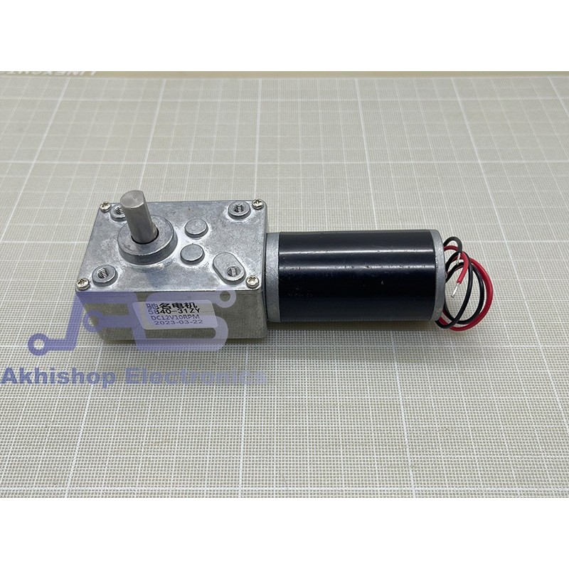 Permanent Magnet Worm Gear Motor DC 4058GW31ZY 12V 10RPM
