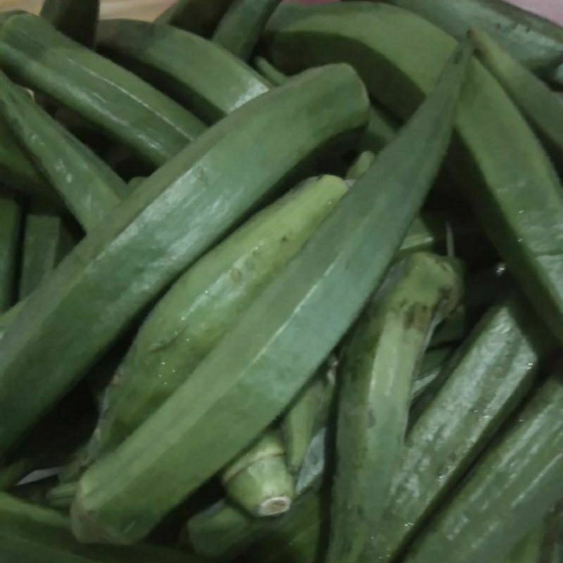 

SAYUR OKRA OKRO LADY FINGER