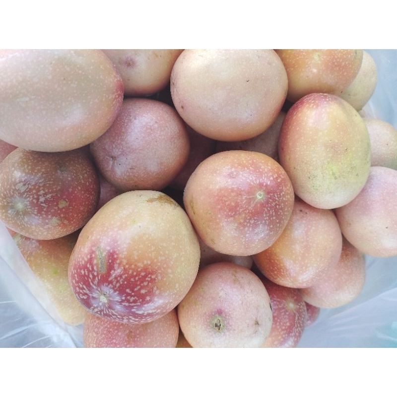 

Buah Markisa Segar 1kg by Efruitday