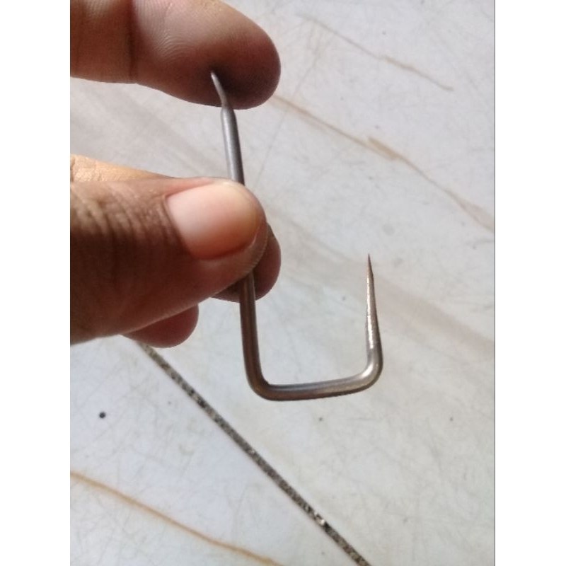 pancing rawe kotak gepeng