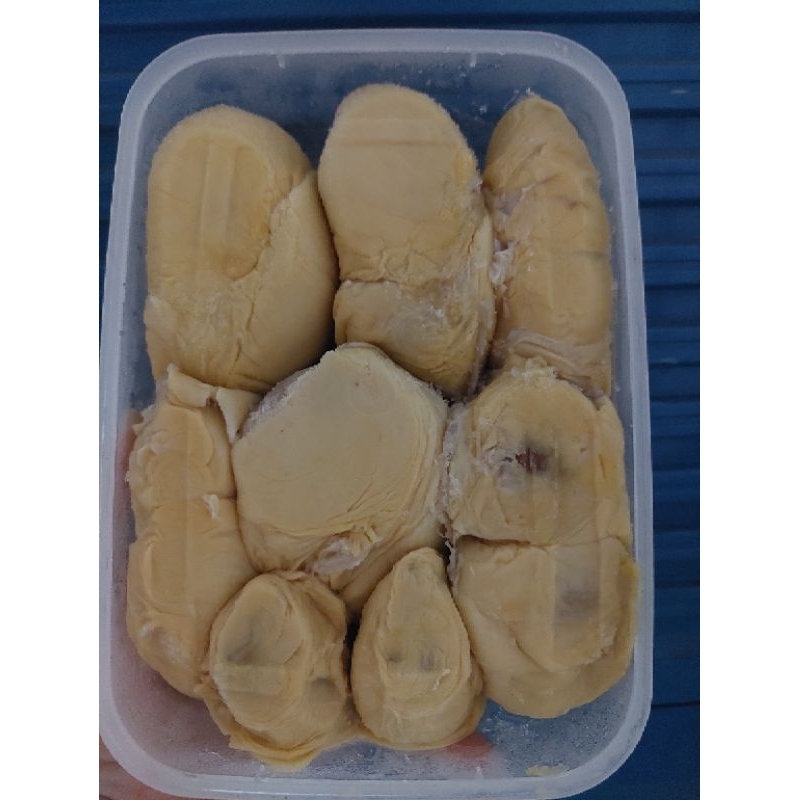 

Durian Nias Premiun Qualitas Eksport