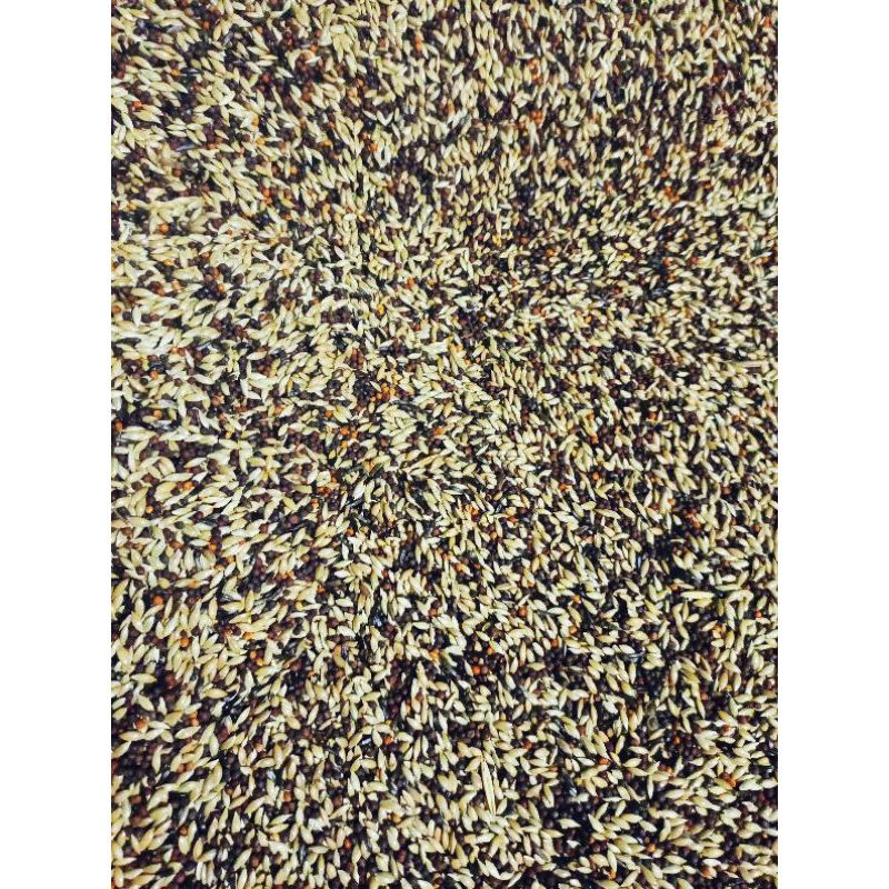 PAKAN KENARI 1kg K.SEED, NIGER, BIJI SAWI, JEMAWUT 1KG