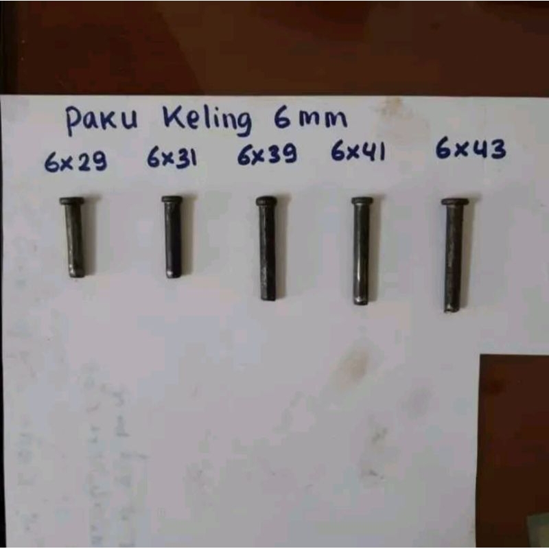 Paku Keling Diameter 6 mm Isi 1000 gram 29 31 37 39 41 mm Pintu Folding Gate Harmonika Rolling Poldi