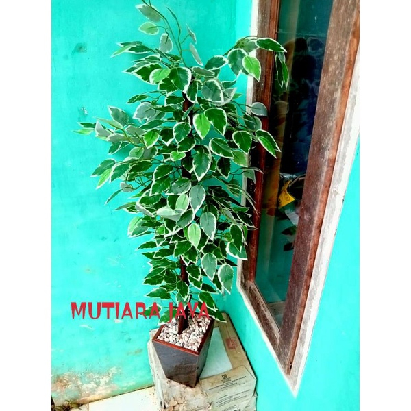 pohon daun artificial plastik pohon beringin dan anggur orange tinggi rimbun/bunga plastik pot kayu