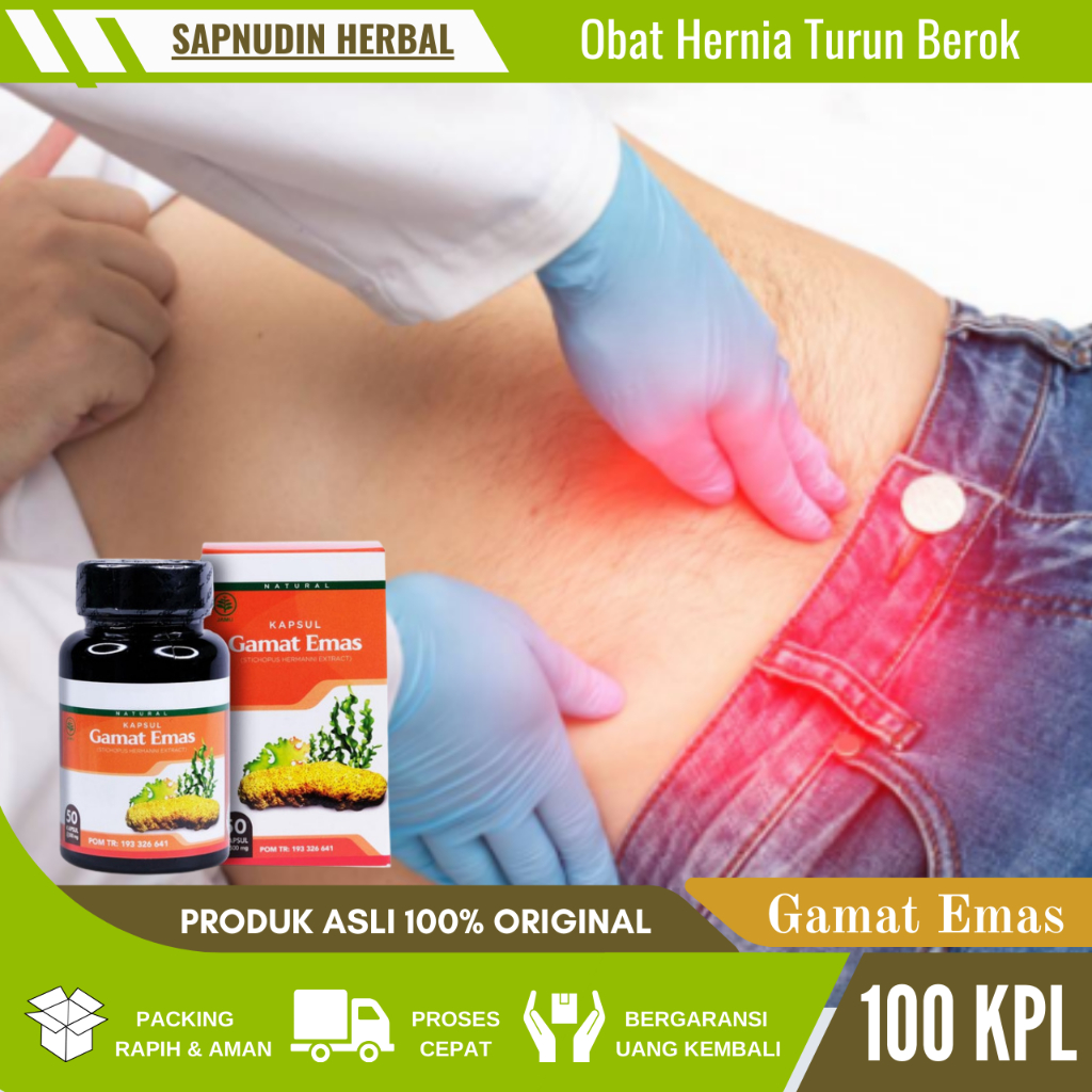 Obat Hernia Turun Berok, Obat Hernia Pria Dewasa, Obat Hernia Tanpa Oprasi, Obat Hernia Anak, Obat H