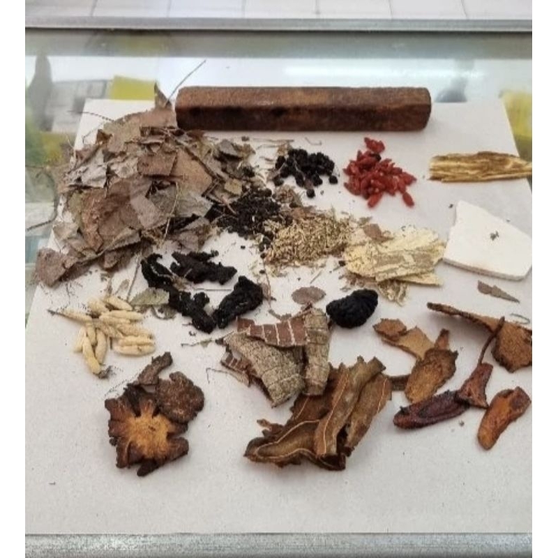 Ramuan Herbal Sinshe Asli Cina Tiongkok - Stamina Pria