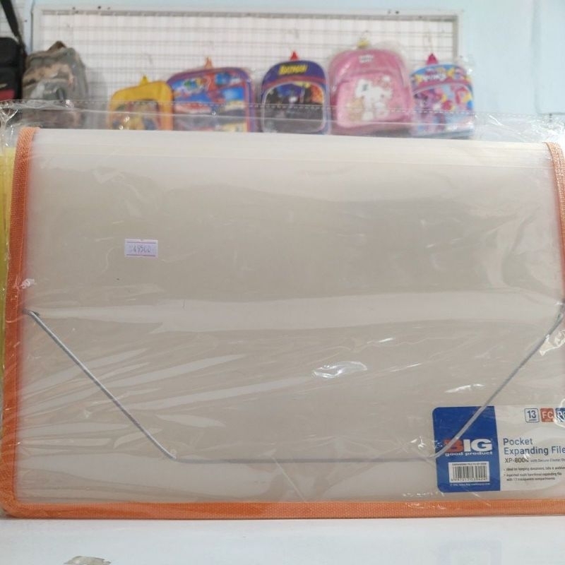 

big pocket expanding file