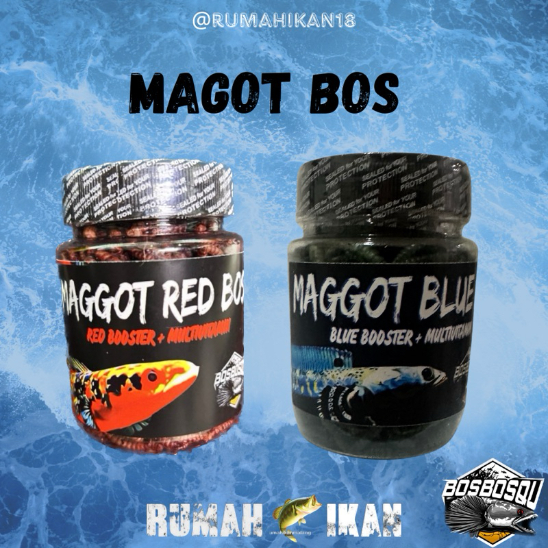 MAGGOT RED MERAH BLUE BIRU BOS BOS QU 30g GRADE A+ FREE STIKER ( NEW FORMULA) 30 GRAM