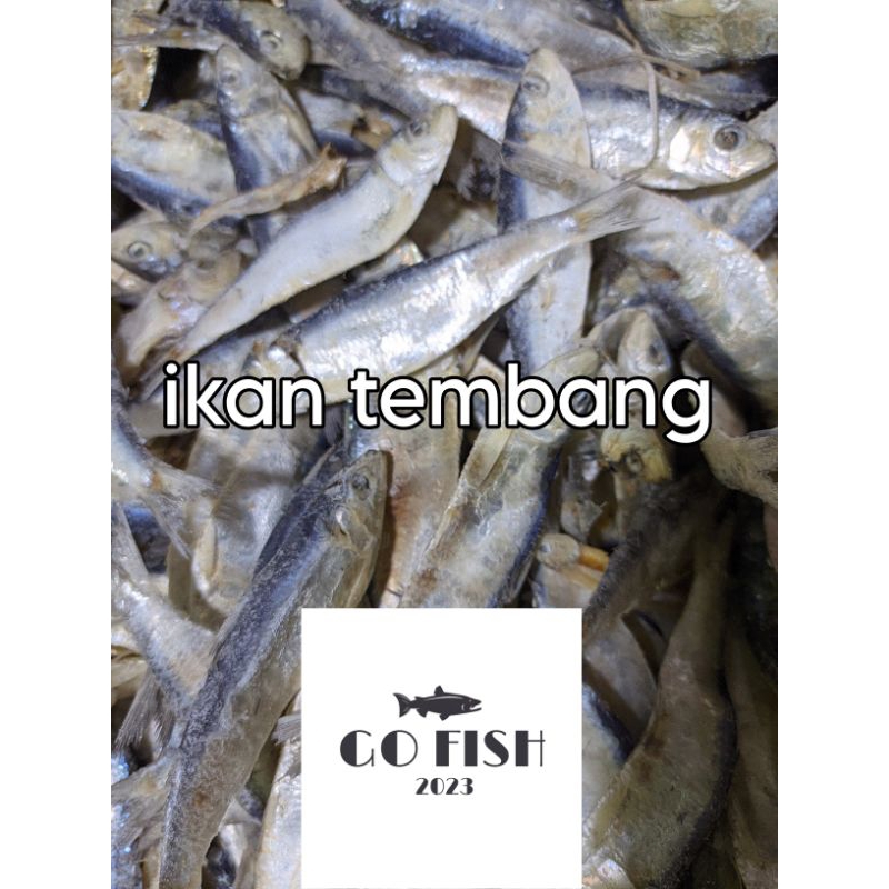 

IKAN ASIN (tembang) MURAH PREMIUM GRADE A