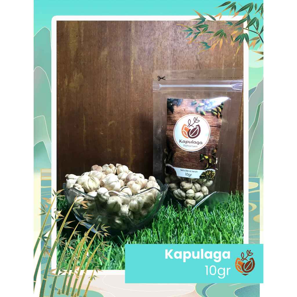 

Kapulaga 10 gram (Harga Petani)